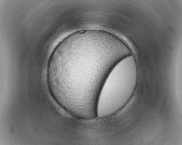 X0000114241432200910091340