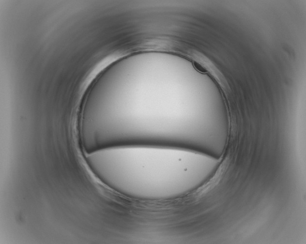 X0000114241434200910091340
