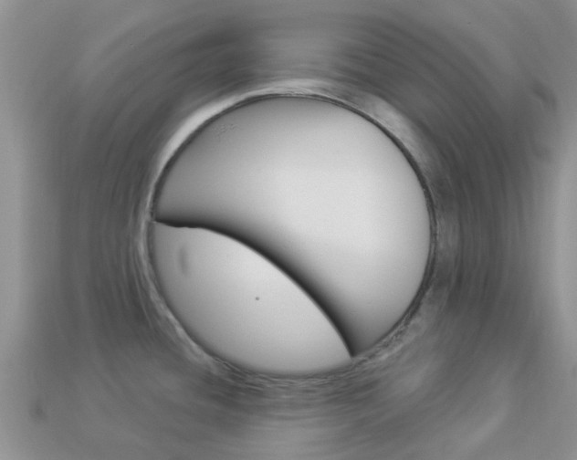 X0000114241436200910091340