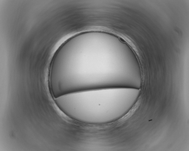 X0000114241438200910091340