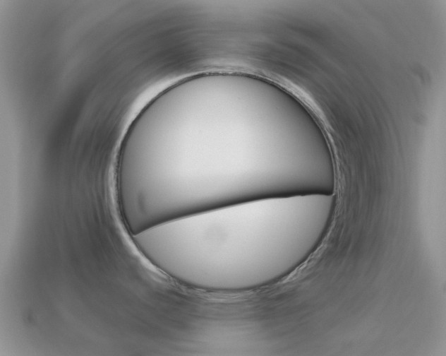 X0000114241440200910091340