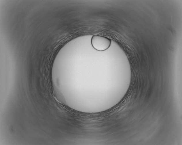 X0000114241441200910091339