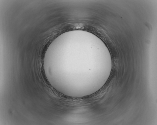 X0000114241442200910091339