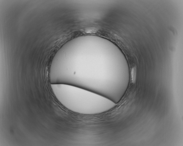 X0000114241443200910091339