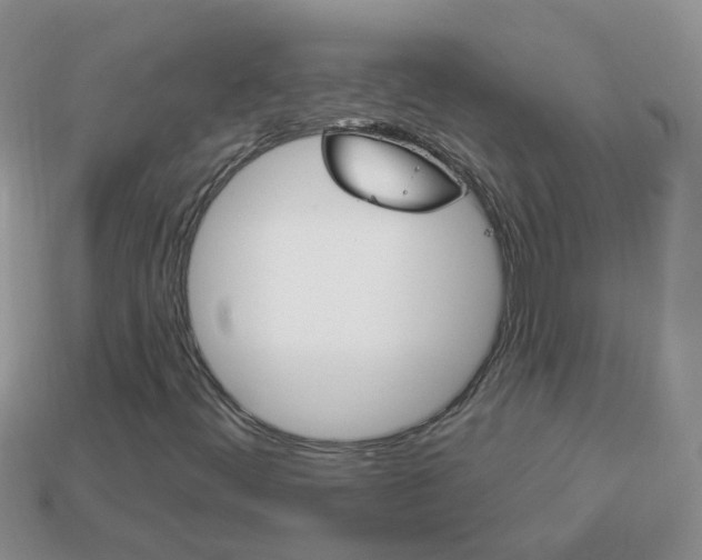 X0000114241444200910091339