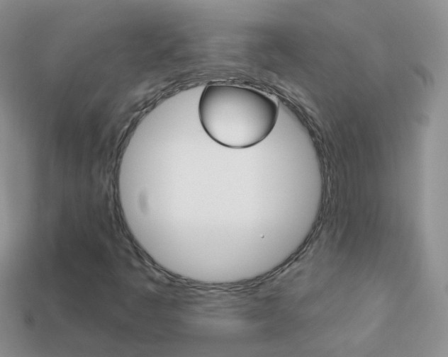 X0000114241445200910091339