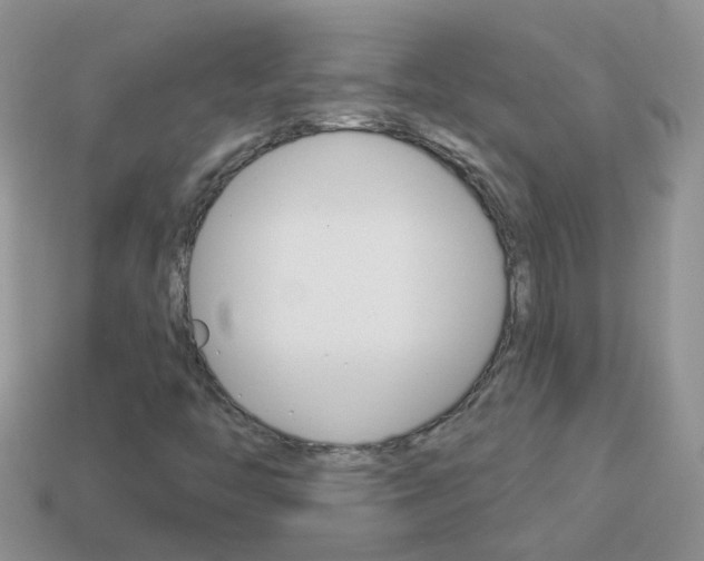 X0000114241446200910091339