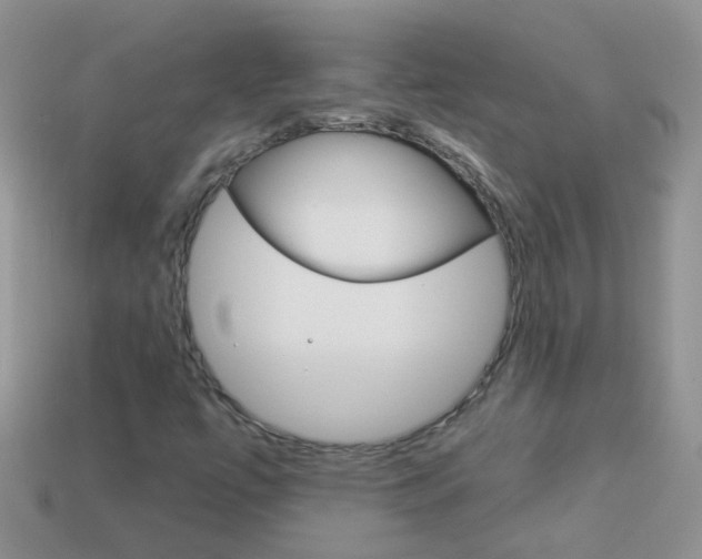 X0000114241447200910091339