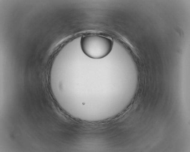 X0000114241448200910091339