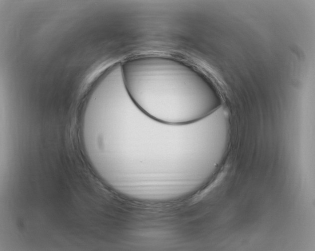 X0000114241453200910091339