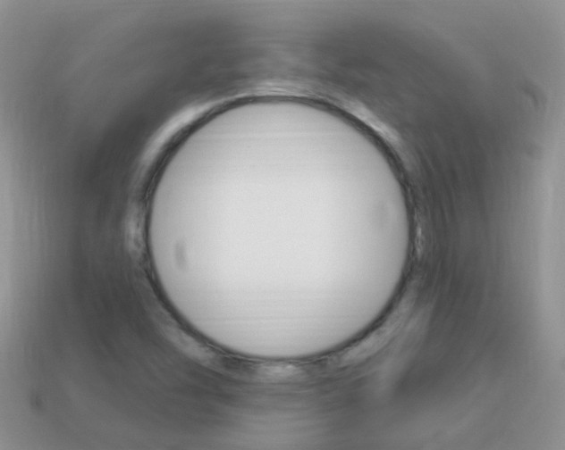 X0000114241454200910091339