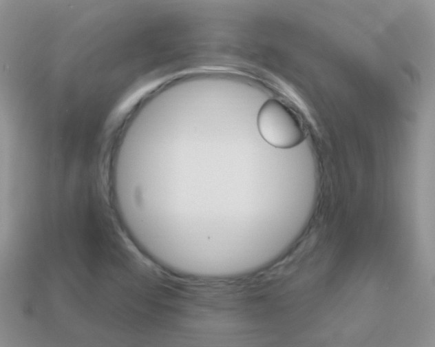 X0000114241456200910091339