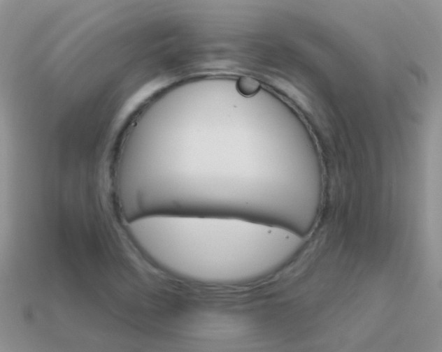 X0000114241458200910091339