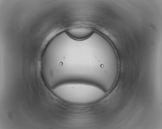 X0000114241459200910091339
