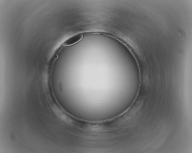 X0000114241460200910091339