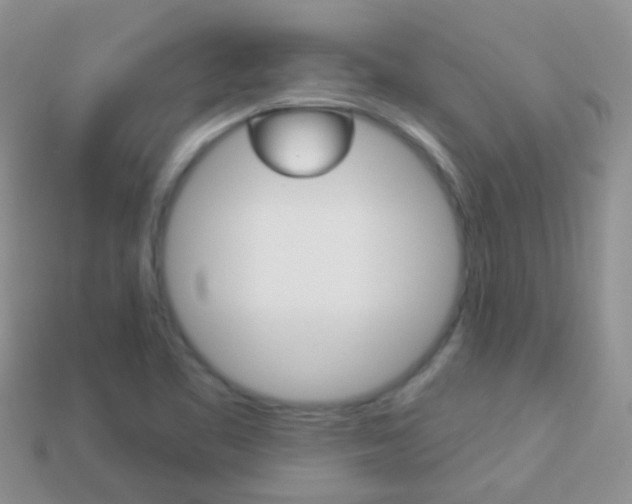 X0000114241461200910091339