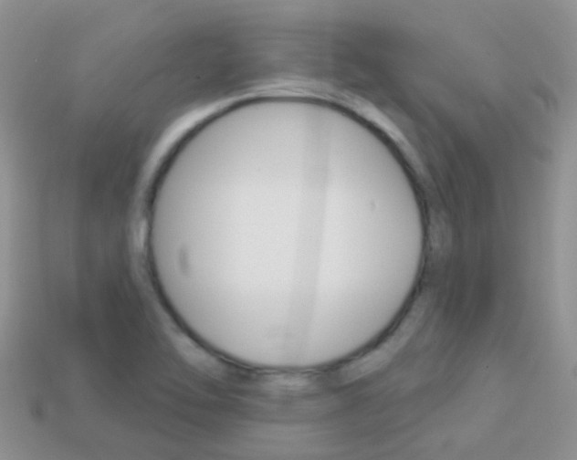 X0000114241462200910091339