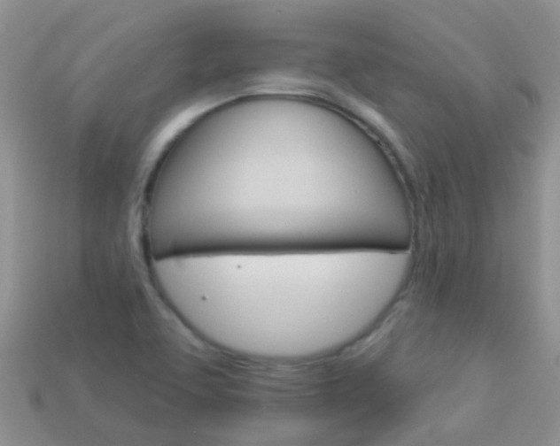 X0000114241463200910091339