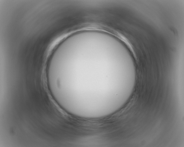 X0000114241464200910091339