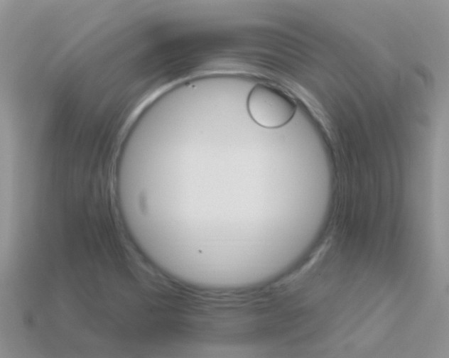 X0000114241465200910091339