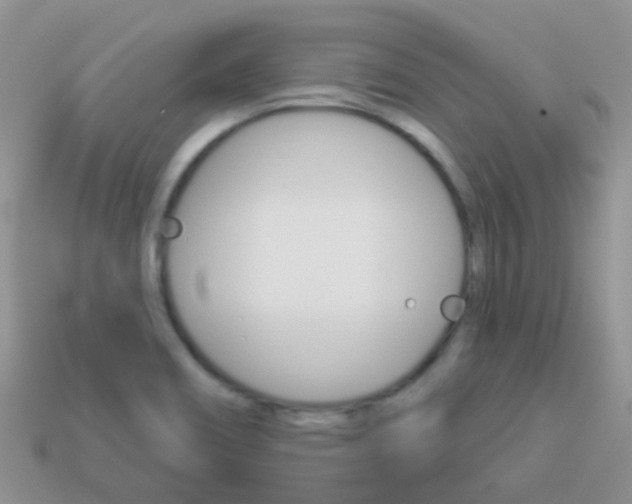 X0000114241466200910091339