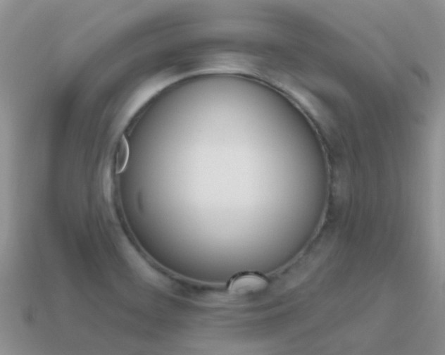 X0000114241468200910091339