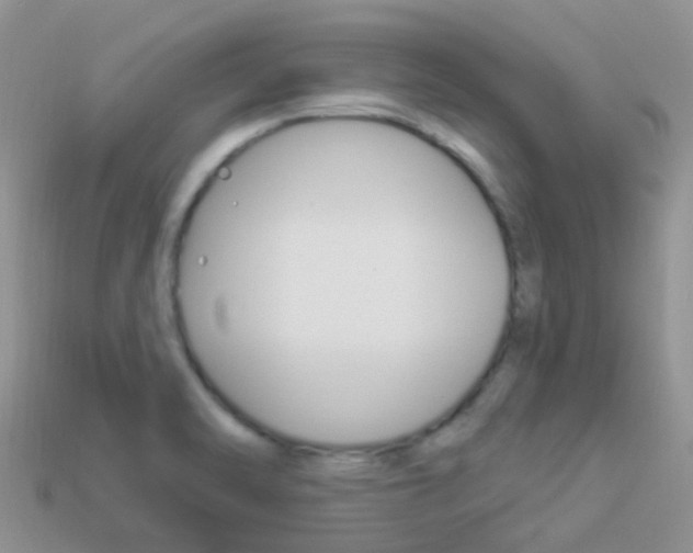 X0000114241470200910091339