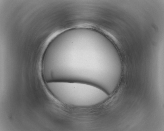 X0000114241471200910091339