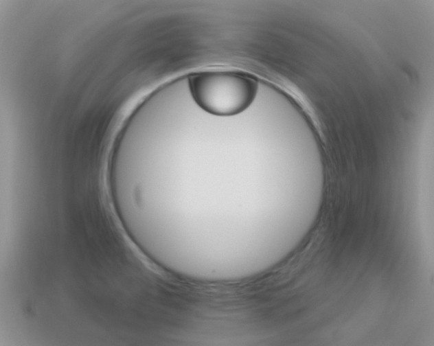 X0000114241472200910091339