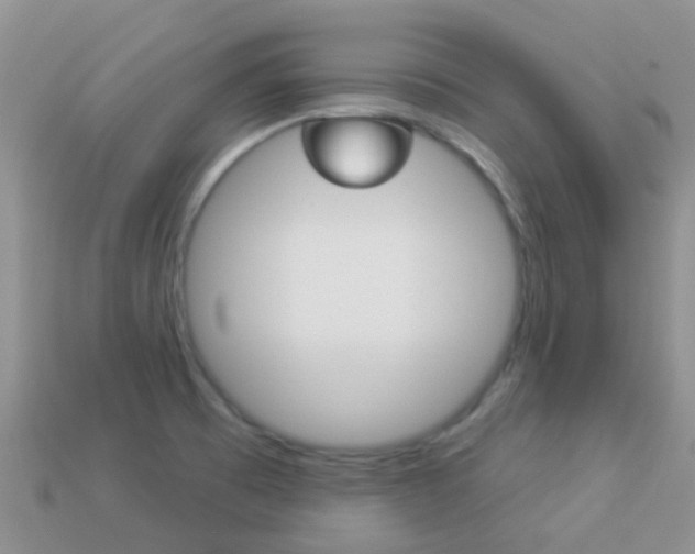 X0000114241473200910091339