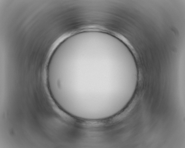 X0000114241474200910091339