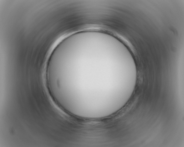 X0000114241475200910091339