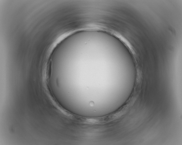 X0000114241477200910091339