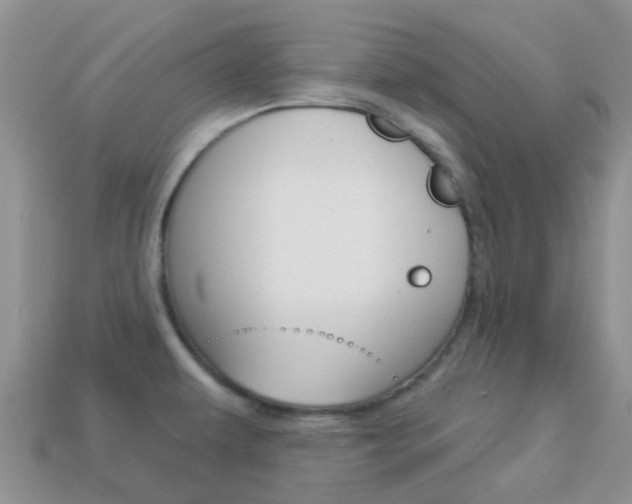 X0000114241479200910091339