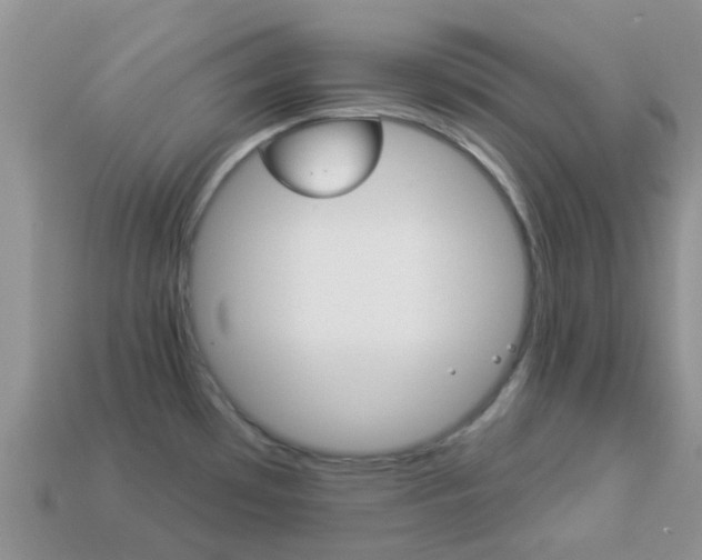 X0000114241481200910091339