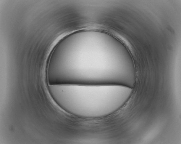 X0000114241483200910091339