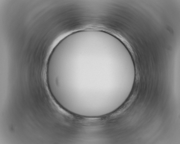 X0000114241486200910091339