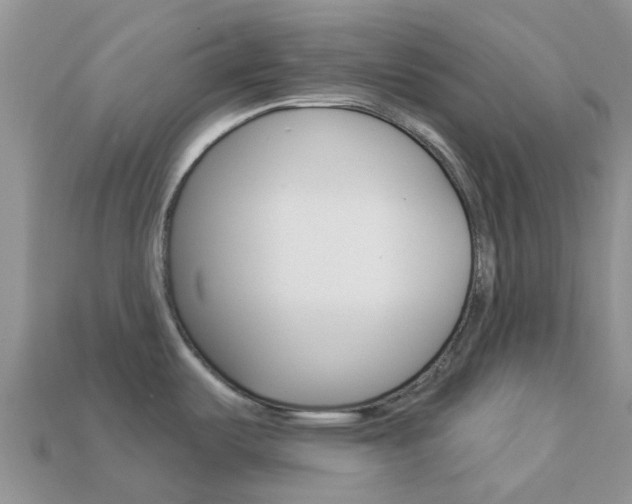 X0000114241487200910091339