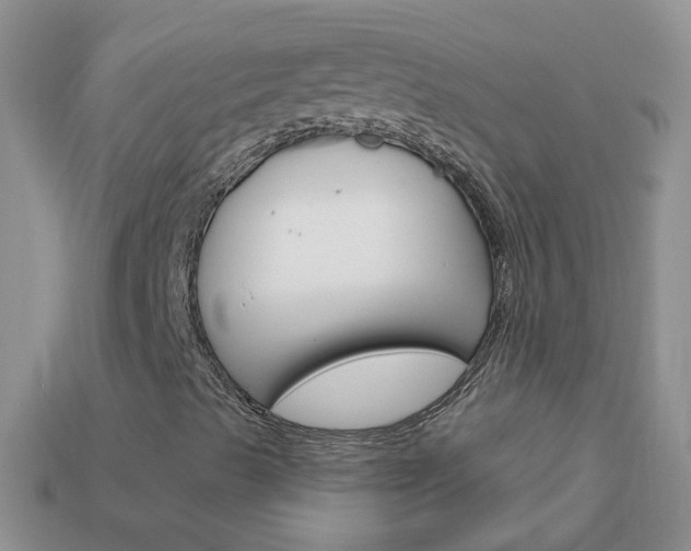 X0000114241489200910091338