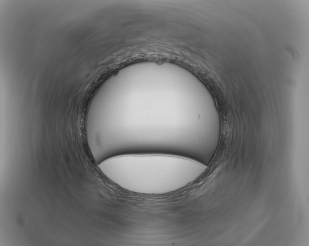 X0000114241490200910091338