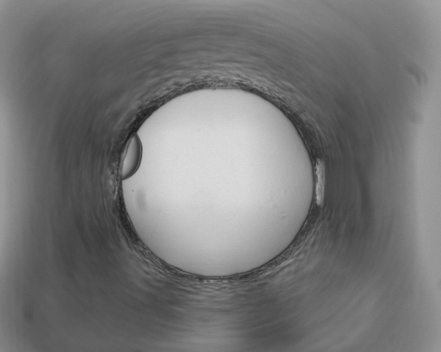 X0000114241491200910091338