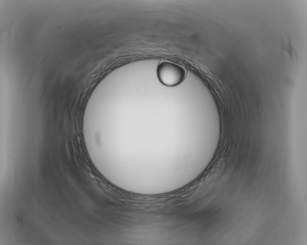 X0000114241492200910091338