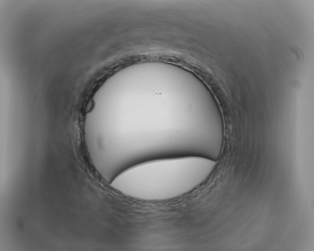 X0000114241493200910091338
