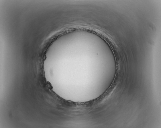 X0000114241494200910091338