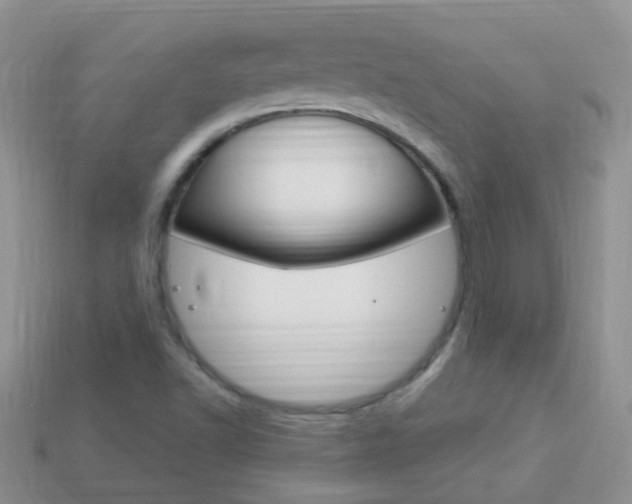 X0000114241502200910091338