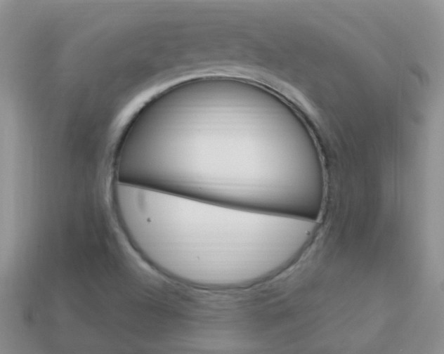 X0000114241504200910091338