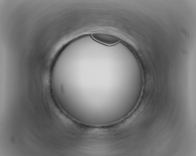 X0000114241506200910091338