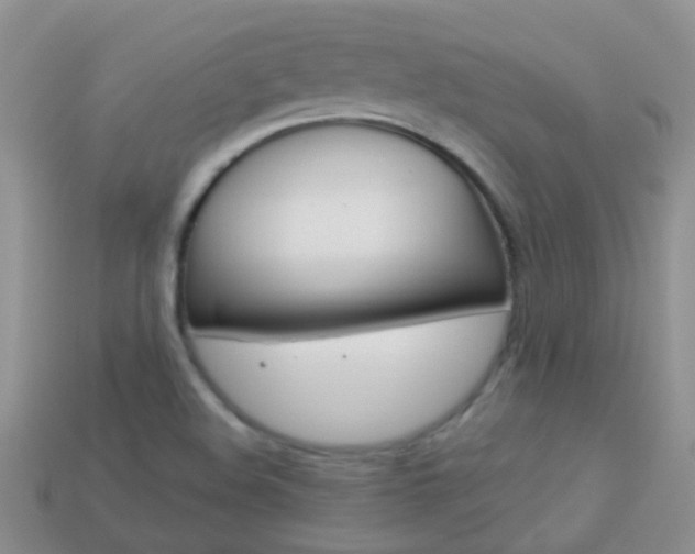 X0000114241508200910091338