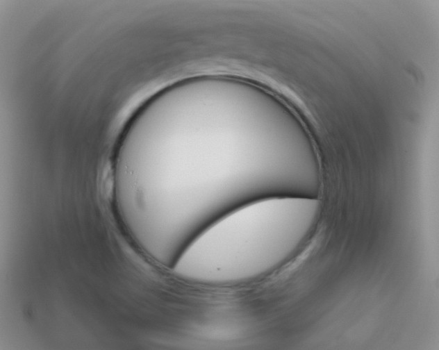 X0000114241509200910091338