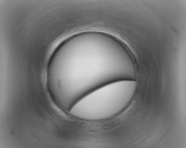 X0000114241511200910091338